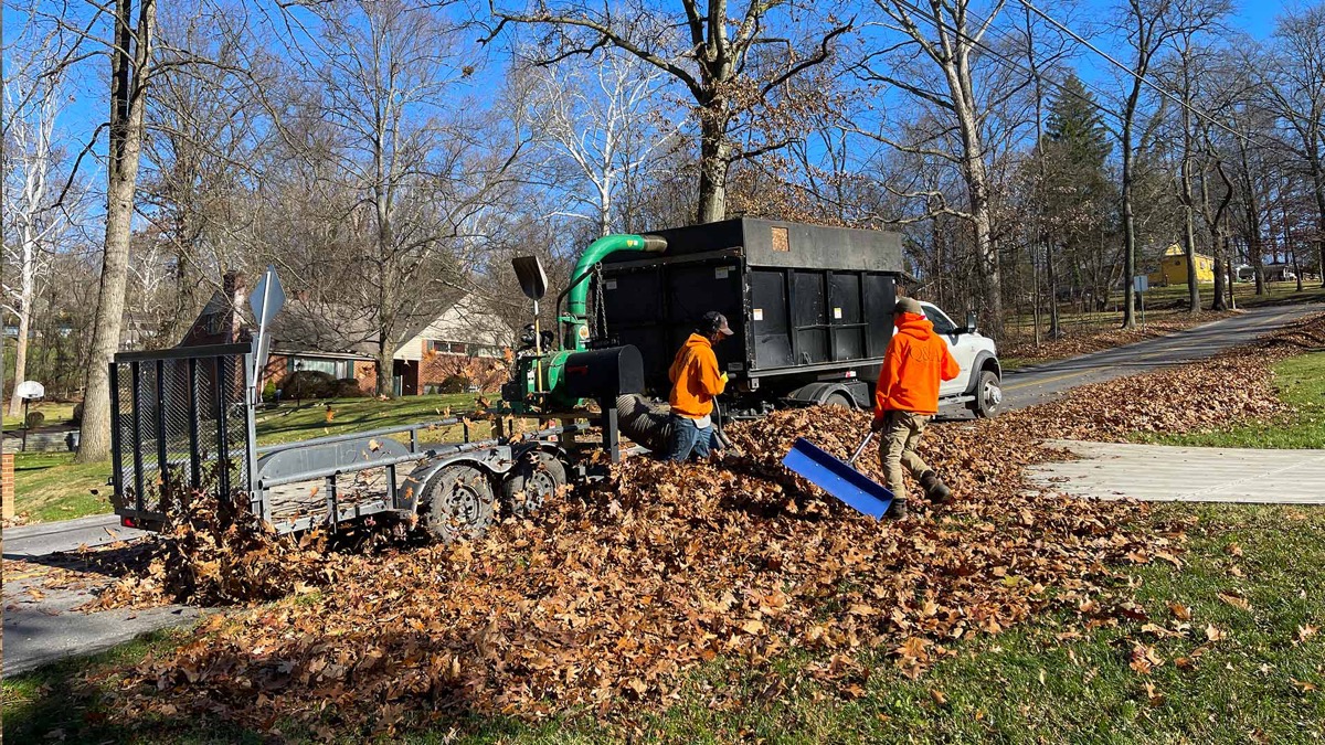 Crew loading leaves into a dump truck