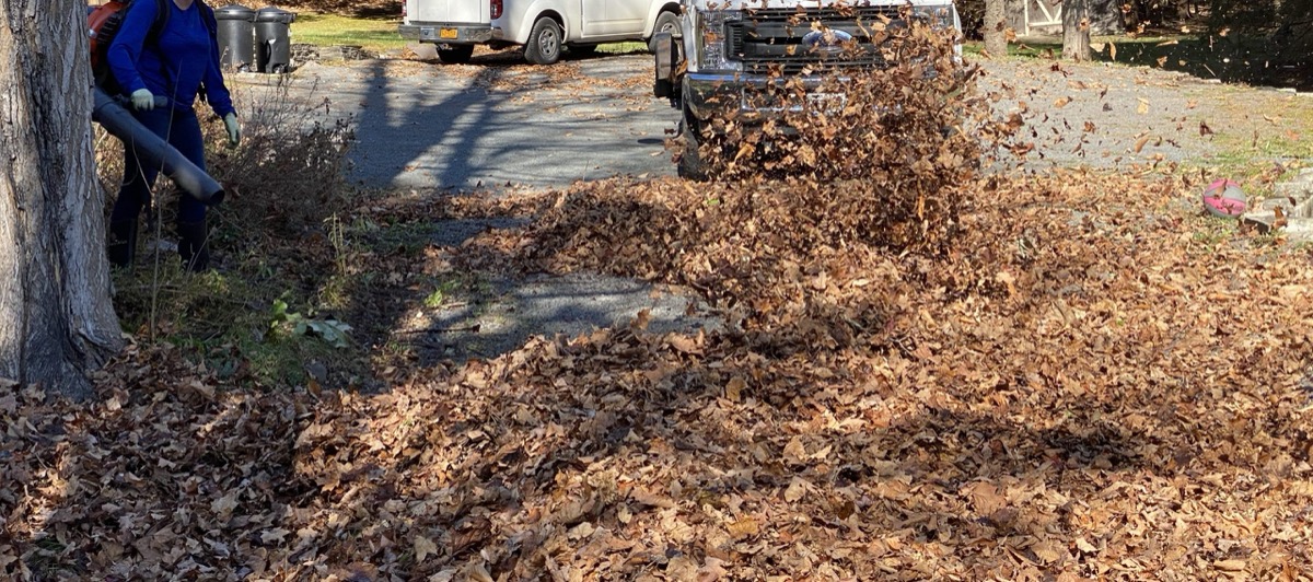 Fall cleanup and town leaf pickup in Rockland and Bergen