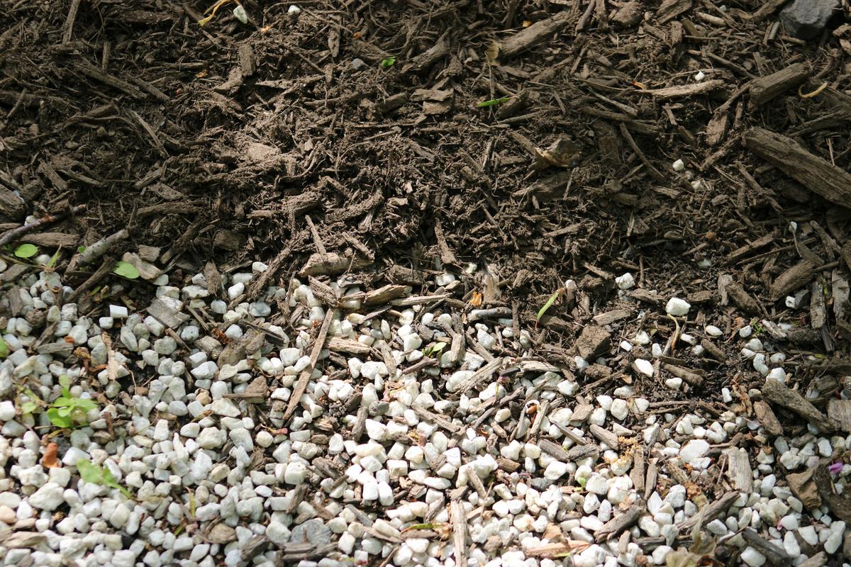 Mulch: how much you need and when to put it down